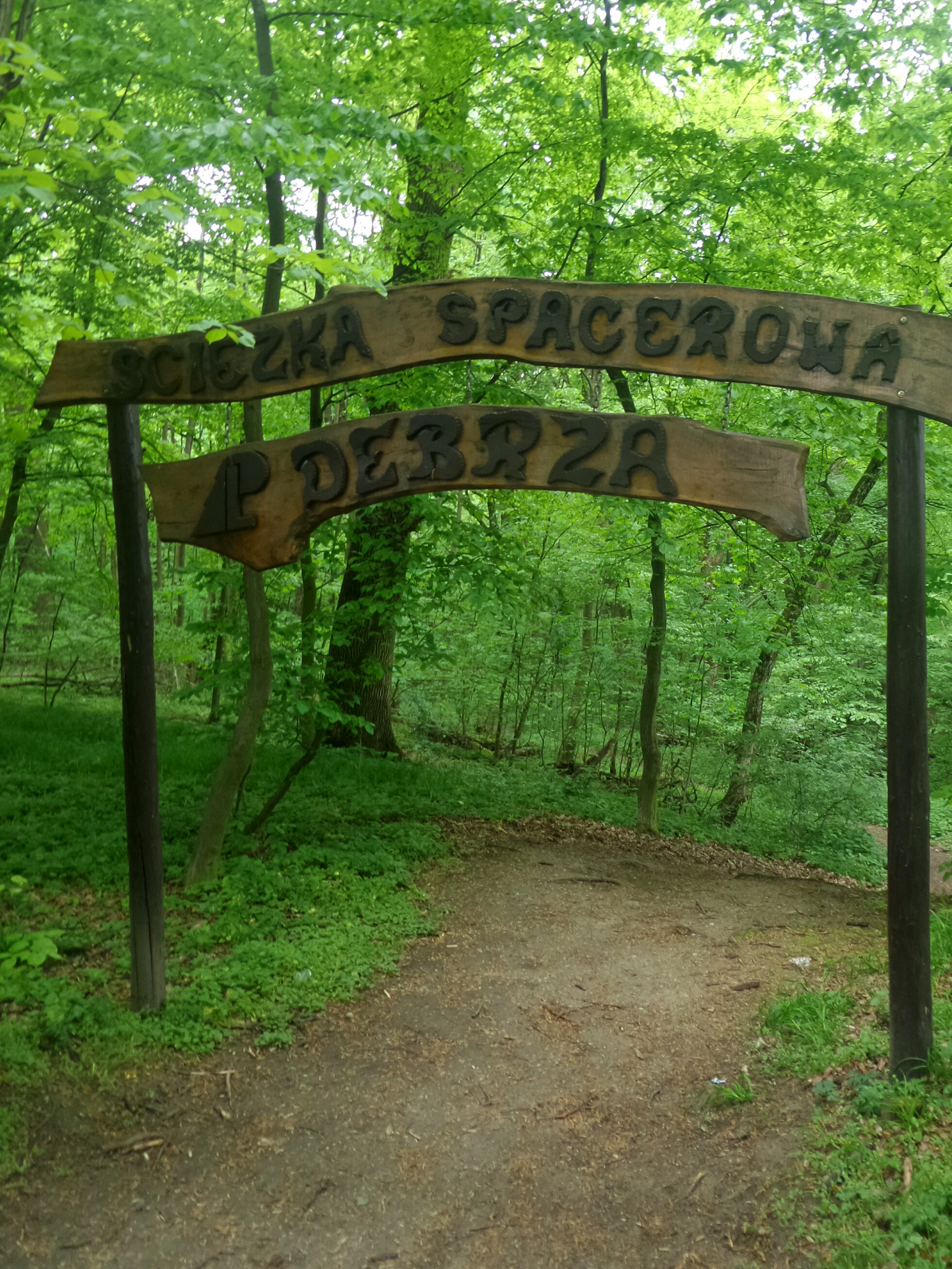 Rezerwat Dębrza – śladem kiełża.